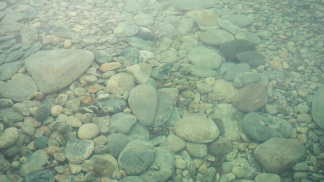 transparent river with stones at daytime. 4k footage
