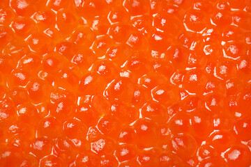 Pile of delicious red caviar as background, closeup