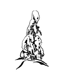 drawing picture isolate on white background, young snowy spruce in a snowdrift, sketch, hand drawn digital vector illustration