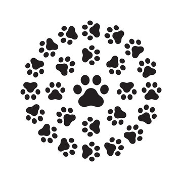dog paw vector footprint icon logo isolated cat cartoon character symbol french bulldog doodle illustration design clip art