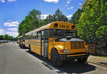 Fototapeta na wymiar Yellow school buses parked in front of green trees under spectacular blue sky on a hot sunny day