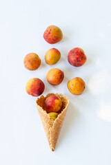 Ripe apricots in a waffle tube on a white background.