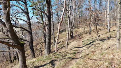H&ouml;fgen Grimma Mulde