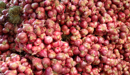 pile of shallot onions in a group small red , spices cooking shallot fresh ,