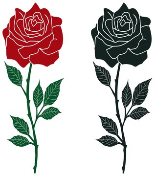 Rose Vektor mit abstrakt gezackten Bl&auml;ttern und Stacheln in rot, dunkel gr&uuml;n und Schwarz.
Wei&szlig;er isolierter Hintergrund. Farbige und schwarze Variation einer Rose.