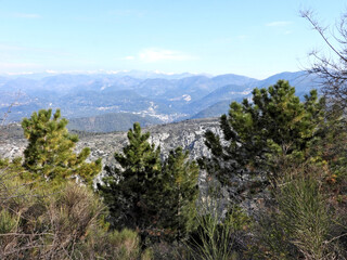Paysage en montagne au printemps