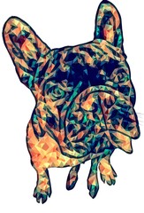 Bullies W Hoodies

Artwork