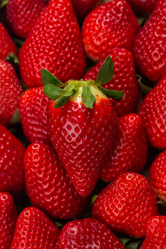Closeup of berry.  Strawberries background. Food background. Vertical image.