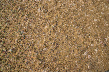 sand texture. wet sand textured background. sand textured beach.