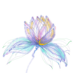 Fantastic flower on transparent background