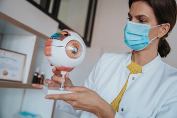 Female doctor with protective face mask holding human eye structure in clinic