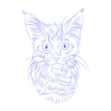 cute cats isolated pattern. pets vector illustrator
