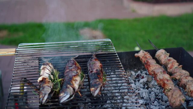 Pork meat shashlik and scomber fishes cooking on barbeque grill. Smoke rising from fireplace. Camera movement shot with gimbal.