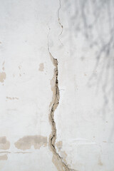 Damaged wall with crack and tree branch shadow. Textured uneven background of rough concrete wall outdoors. Vertical view