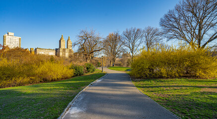 Central Park in spring
