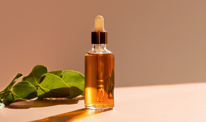 Cosmetic glass dropper bottle with oil, serum or fruit peeling in the sunlight. Green eucalyptus in...