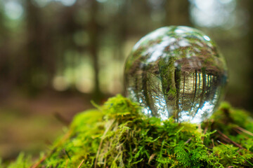 Glass ball on a moss in a forest. Trees reflection. Selective focus. Nobody. Abstract nature background