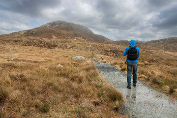 Fototapeta premium Male tourist walking towards Diamond hill, Connemara National Park, Ireland. Travel and hiking concept. Popular tourist area with stunning view. Irish nature landscape. Cloudy sky.