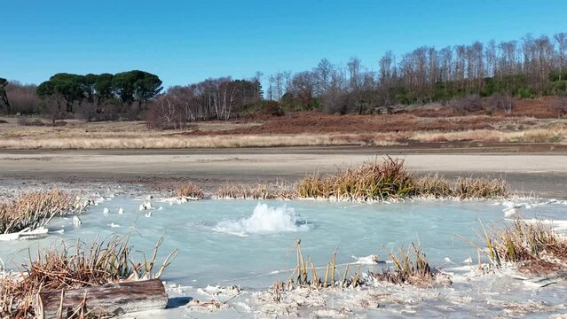 Il geyser della Caldara di Manziana, Lazio, Italia.
L'acqua ribolle emergendo dal sottosuolo, come la solfatara.