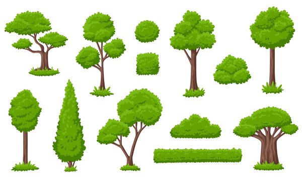 Forest green tree collection. Ecology trees, garden group bushes. Variety simple cartoon nature, gardening plants. Eco, environment garish vector elements