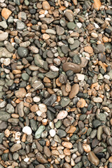 multi-colored pebbles on the seashore shimmers from the water in the sun free space close-up texture background