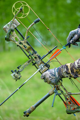 professional archer shooting with modern longbow in forest, close-up