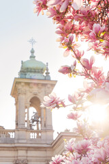 Magnolia Piazza Tommaseo Milano Italia
