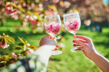 Two woman hands holding a wine glasses full of pink cherry blossom petals on a spring day - Powered by Adobe