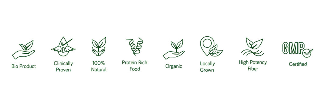 bioproduct, clinically proven, 100% natural, protein-rich food, organic, locally grown, high potency fiber, GMP line icon vector illustration 
