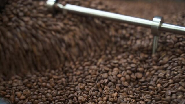 Food industry concept coffee beans roasting inside equipment in factory or coffee shop spbas. 4k Closeup view of organic Arabica seeds dried and roasted, rotated and steamed inside metal container in