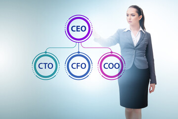 Businesswoman in the organisation chart concept