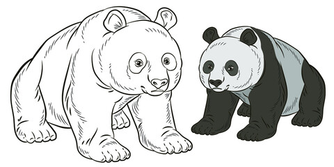 



Animals. Black and white panda drawing. Coloring book for children. Vector image background, design.