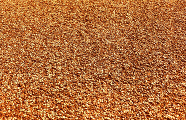 Red running track synthetic rubber surface pattern texture background.	