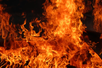 close up photo of cool fire in burning