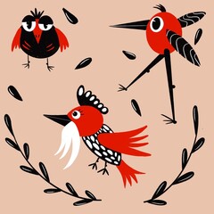 collection of three important birds