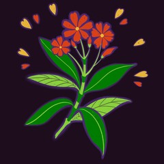 where to find scarlet flower?