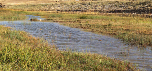 Beautiful water stream in mountain valley