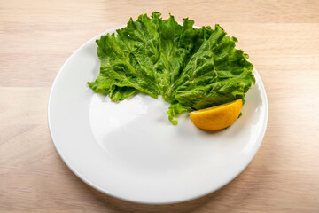 白い皿にレタスとレモン　合成用素材