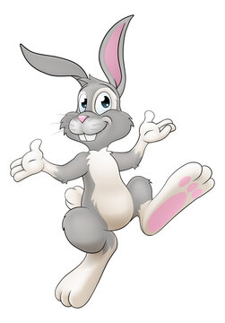 Easter Bunny Cartoon Rabbit Illustration