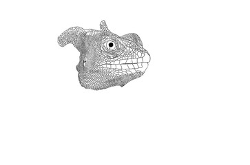 chameleon - iguana head illustrated on white background