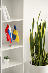 Shelf unit flags of Russia, Ukraine and Canada and houseplant near light wall
