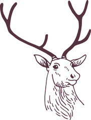 Male Deer Head Hand Drawn Sketch Illustration