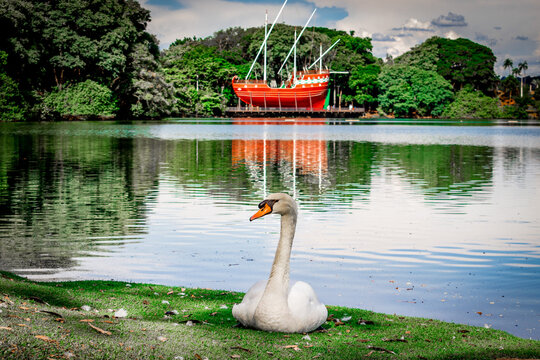 Lagoa do Taquaral - Campinas