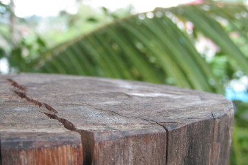 focus, macro photo of wood with natural background