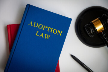 Top view of Adoption law book with gavel and pen on white background.