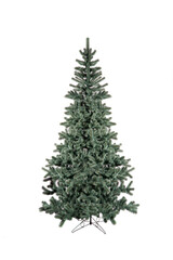 Unadorned Christmas tree, pine isolated on white