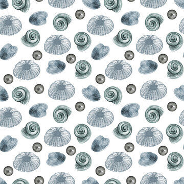 Seamless shell pattern, watercolor seashell background, Beautiful beach wallpaper, Nautical fabric print, Holiday ornament