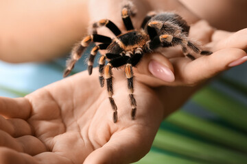 Woman with scary tarantula spider, closeup