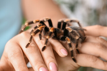 Woman with scary tarantula spider, closeup