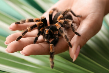 Woman with scary tarantula spider, closeup